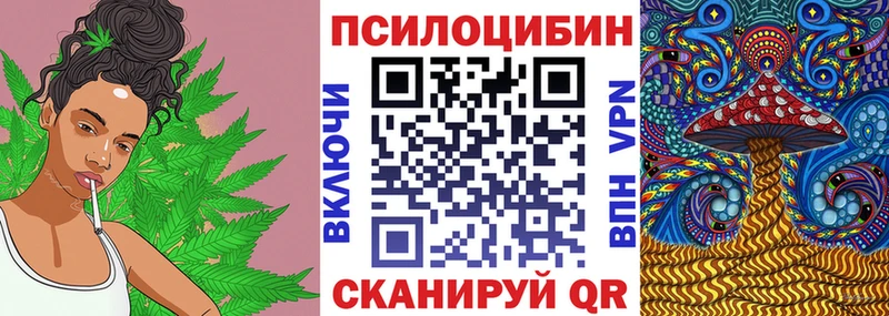 Галлюциногенные грибы мухоморы  дарнет шоп  blacksprut рабочий сайт  Чегем 
